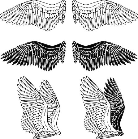 stencil - Pigeon wings isolated on white Foto de stock - Super Valor sin royalties y Suscripción, Código: 400-06849077