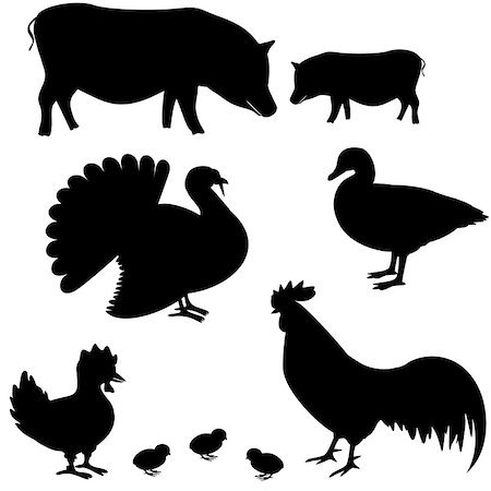 ekazansk (artist) - Farm animals vector silhouettes set 1 Stock Photo - Budget Royalty-Free & Subscription, Code: 400-06849581