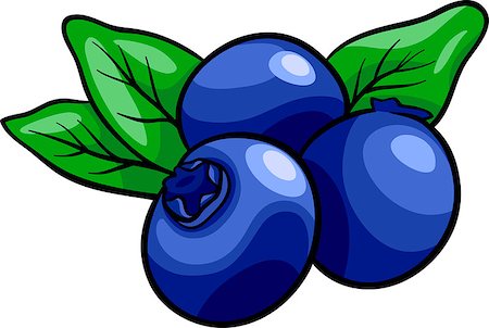 Cartoon Illustration of Blueberry Fruits Food Object Stock Photo - Budget Royalty-Free & Subscription, Code: 400-06855934