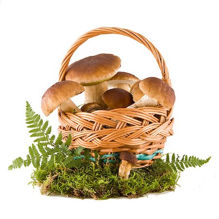 simsearch:400-04766599,k - Boletus mushrooms in a wicker basket on green moss isolated on white background Stock Photo - Budget Royalty-Free & Subscription, Code: 400-06858062