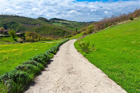 Dirt Road Leading to the Farmhouse in Tuscany, Italy Stock Photo - Budget Royalty-Free & Subscription, Code: 400-06859773