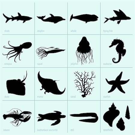 denis_barbulat (artist) - Set of sea animals Stock Photo - Budget Royalty-Free & Subscription, Code: 400-06851026