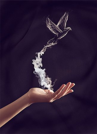 Hand of a woman holding a smoke bird Stock Photo - Budget Royalty-Free & Subscription, Code: 400-06853509