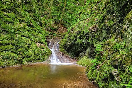 simsearch:400-05890122,k - The river runs over cascades in the primeval forest - HDR Stock Photo - Budget Royalty-Free & Subscription, Code: 400-06853714