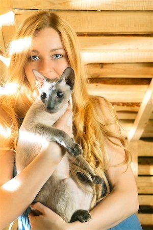 egyptian sphynx cat - beautiful girl with cat on hayloft at summer day Stock Photo - Budget Royalty-Free & Subscription, Code: 400-06867078