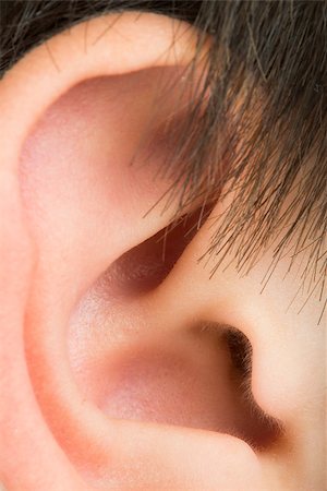 Human ear close up studio shot Stock Photo - Budget Royalty-Free & Subscription, Code: 400-06867823