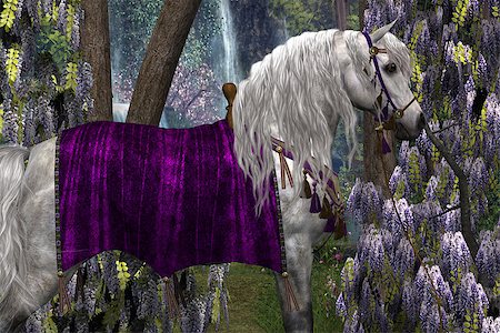 Portrait of a white Arabian stallion in fancy saddle and bridle with purple Wisteria flowers in the background.. Photographie de stock - Aubaine LD & Abonnement, Code: 400-06861716