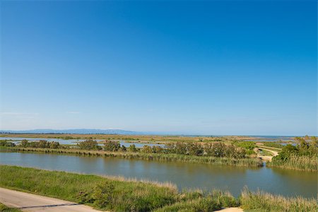 simsearch:400-04587823,k - Ebro delta, with its wetlands spreading all over the natural park Stock Photo - Budget Royalty-Free & Subscription, Code: 400-06862357