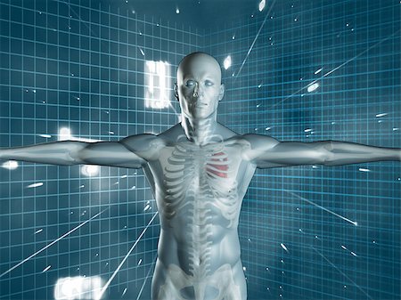 Transparent human medical representation standing over futuristic background in blue and white Stock Photo - Budget Royalty-Free & Subscription, Code: 400-06882193