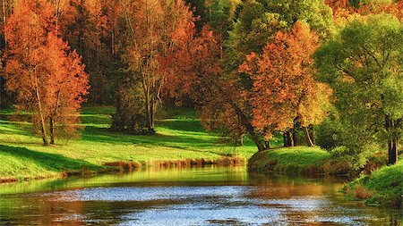 simsearch:400-05678857,k - autumn on calm lake at sunny day Stock Photo - Budget Royalty-Free & Subscription, Code: 400-06891702