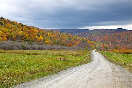 pennsylvania woods - A dirt road winds through the colorful Autumn landscape in Tioga County,Pennsylvania. Stock Photo - Budget Royalty-Free & Subscription, Code: 400-06891731