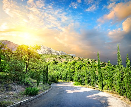 road to paradise - Cypress park in mountains with sunny sky Stock Photo - Budget Royalty-Free & Subscription, Code: 400-06892111