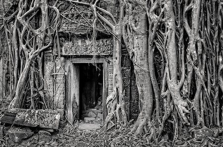 Ancient stone temple door and tree roots - monochrome vintage view, Angkor Wat, Cambodia Stock Photo - Budget Royalty-Free & Subscription, Code: 400-06914434