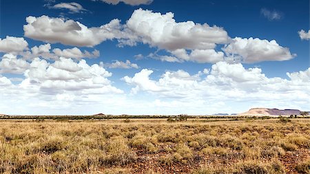simsearch:400-04436530,k - An image of a desert landscape in Australia Stock Photo - Budget Royalty-Free & Subscription, Code: 400-06917247