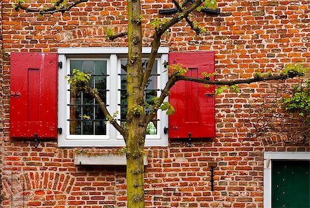 flemish - Window with Red Shutters in the Dutch City Stock Photo - Budget Royalty-Free & Subscription, Code: 400-06917757