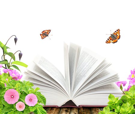 simsearch:400-06069768,k - Book, flower and butterflys. Isolated over white Stock Photo - Budget Royalty-Free & Subscription, Code: 400-06918926