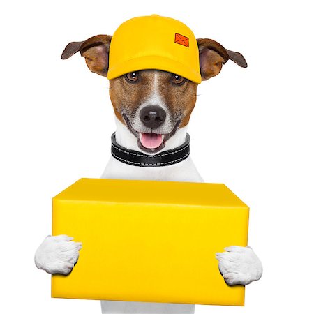 funny driver photos - dog delivery yellow post box with cap Stock Photo - Budget Royalty-Free & Subscription, Code: 400-06919441