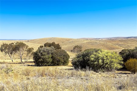 simsearch:400-04698881,k - An image of a beautiful south australian scenery Stock Photo - Budget Royalty-Free & Subscription, Code: 400-06919584