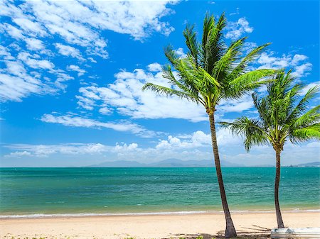 An image of the Magnetic Island Australia Stock Photo - Budget Royalty-Free & Subscription, Code: 400-06919602