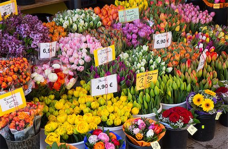 flower sale - sale of blooming tulips at the street market Stock Photo - Budget Royalty-Free & Subscription, Code: 400-06912805