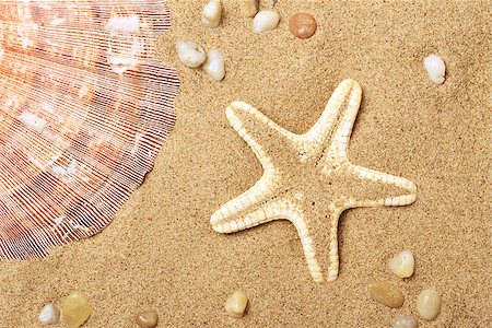 simsearch:400-06857057,k - Cockleshells and a starfish lie on sand seacoast Stock Photo - Budget Royalty-Free & Subscription, Code: 400-06913557