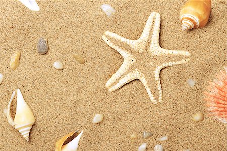 simsearch:400-06857057,k - Cockleshells and a starfish lie on sand seacoast Stock Photo - Budget Royalty-Free & Subscription, Code: 400-06913558