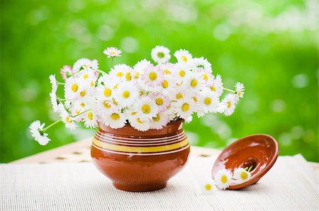 Bouquet of delicate daisies in a pot at the table Stock Photo - Budget Royalty-Free & Subscription, Code: 400-06927595