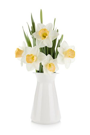 Bouquet of white daffodils in flowerpot. Isolated on white background Stock Photo - Budget Royalty-Free & Subscription, Code: 400-06920696