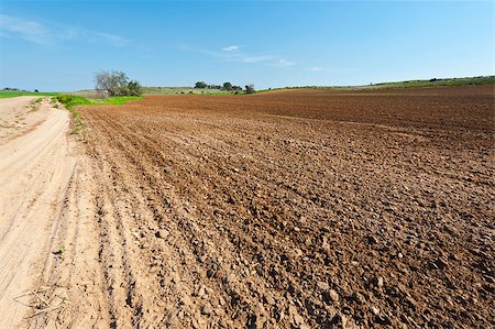 Dirt Road between Plowed Fields in Israel, Spring Stock Photo - Budget Royalty-Free & Subscription, Code: 400-06923447