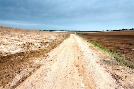 simsearch:400-05711931,k - Dirt Road between Plowed Fields in Israel, Spring Stock Photo - Budget Royalty-Free & Subscription, Code: 400-06923441