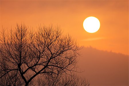 simsearch:400-06408905,k - The sun shines through dense clouds and heavy fog. Stock Photo - Budget Royalty-Free & Subscription, Code: 400-06954556