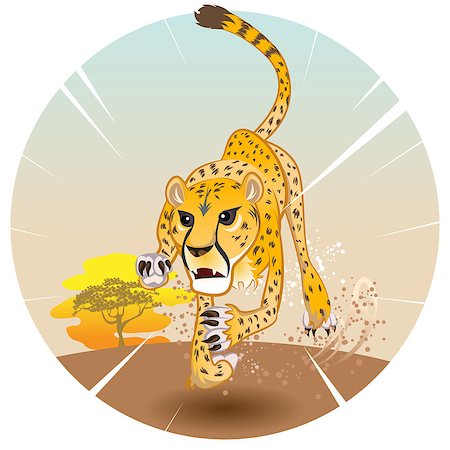 Cheetah King of Speed in Pursuit of Prey On Savannah Stock Photo - Budget Royalty-Free & Subscription, Code: 400-07035474