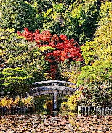 simsearch:400-06640469,k - Serene bridge and pond of a Japanese Garden in Kyoto. Stock Photo - Budget Royalty-Free & Subscription, Code: 400-07036286