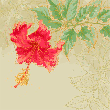 simsearch:400-06080543,k - The contour drawing hibiscus flower with leaves on toned beige background. Watercolor style. Can be used as background for invitation cards. Stock Photo - Budget Royalty-Free & Subscription, Code: 400-07032529