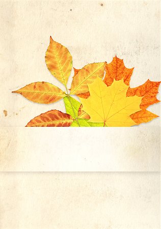 simsearch:400-04544818,k - Grunge background with autumn leaves Photographie de stock - Aubaine LD & Abonnement, Code: 400-07048207