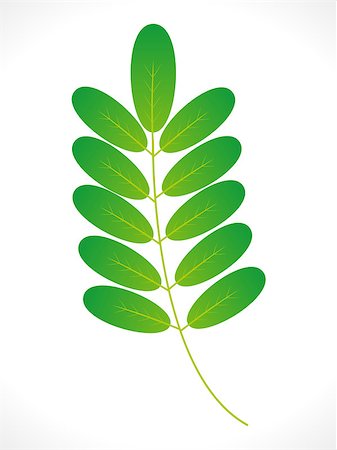 abstract eco green leaf icon vector illustration Stock Photo - Budget Royalty-Free & Subscription, Code: 400-07055763