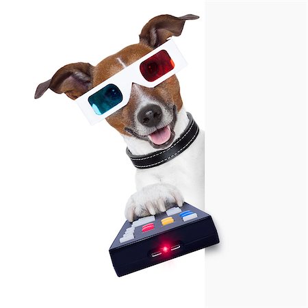 3d glasses movie dog with remote control Stock Photo - Budget Royalty-Free & Subscription, Code: 400-07055956