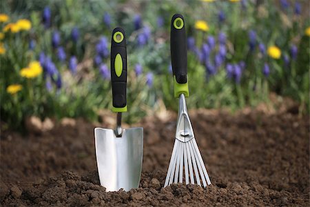 simsearch:400-05297250,k - Garden tools like a hand trowel and a rake in garden soil Stock Photo - Budget Royalty-Free & Subscription, Code: 400-07052104