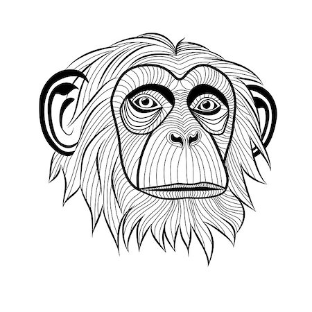 Monkey chimpanzee ape head animal, simia troglodytes, symbol for mascot or emblem design, logo vector illustration for t-shirt. Sketch tattoo design. Stock Photo - Budget Royalty-Free & Subscription, Code: 400-07053088