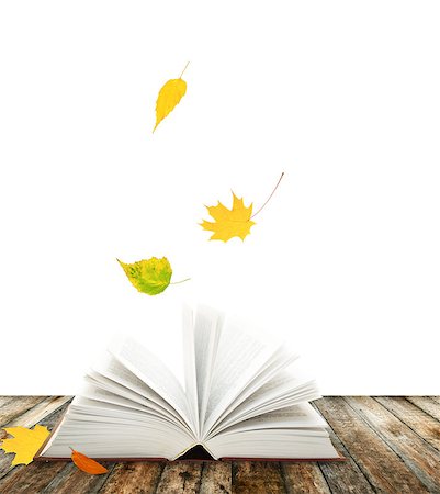 simsearch:400-06069768,k - Book of nature and autumn leaves. Isolated on white background Stock Photo - Budget Royalty-Free & Subscription, Code: 400-07061862