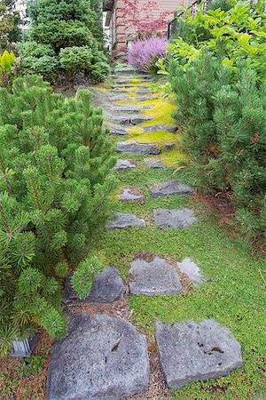 Natural Stone Steps with Green Moss and Creeping Thyme Ground Cover Going Up to Frontyard Garden Stock Photo - Budget Royalty-Free & Subscription, Code: 400-07088017