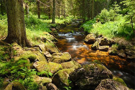 simsearch:400-05890122,k - River runs over boulders in the primeval forest - HDR Stock Photo - Budget Royalty-Free & Subscription, Code: 400-07088049