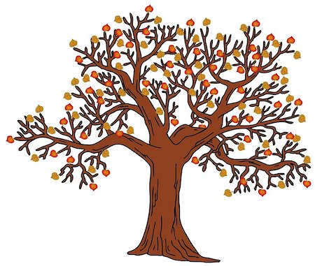 simsearch:400-05885713,k - Tree with autumn leaves - vector illustration. Stock Photo - Budget Royalty-Free & Subscription, Code: 400-07096006