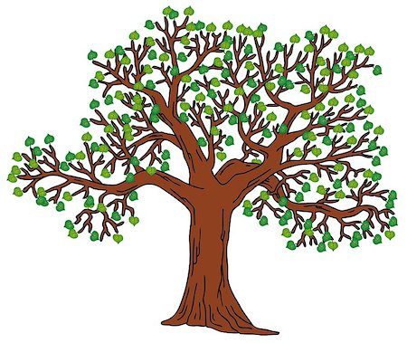simsearch:400-05885713,k - Tree with green leaves - vector illustration. Stock Photo - Budget Royalty-Free & Subscription, Code: 400-07096007