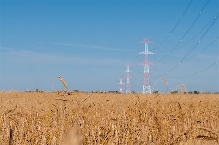 Pylon and transmission power line Photographie de stock - Aubaine LD & Abonnement, Code: 400-07097573