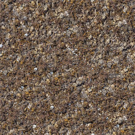 steppe - Seamless Texture of Rocky Soil Covered with Withered Dry Grass, Leaves and Shells. Small Size. Stock Photo - Budget Royalty-Free & Subscription, Code: 400-07098077