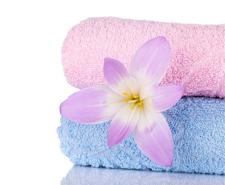 Pink and blue towels and flower. Closeup Photographie de stock - Aubaine LD & Abonnement, Code: 400-07098509