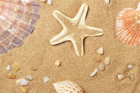 simsearch:400-06857057,k - Cockleshells and a starfish lie on sand seacoast Stock Photo - Budget Royalty-Free & Subscription, Code: 400-07099090