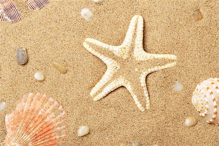 simsearch:400-06857057,k - Seashells and a starfish lie on sand seacoast Stock Photo - Budget Royalty-Free & Subscription, Code: 400-07099093