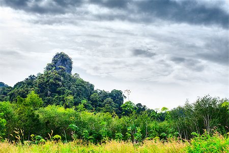 storm in tropical rainforest - great mountain with green trees in Thailand Stock Photo - Budget Royalty-Free & Subscription, Code: 400-07091137